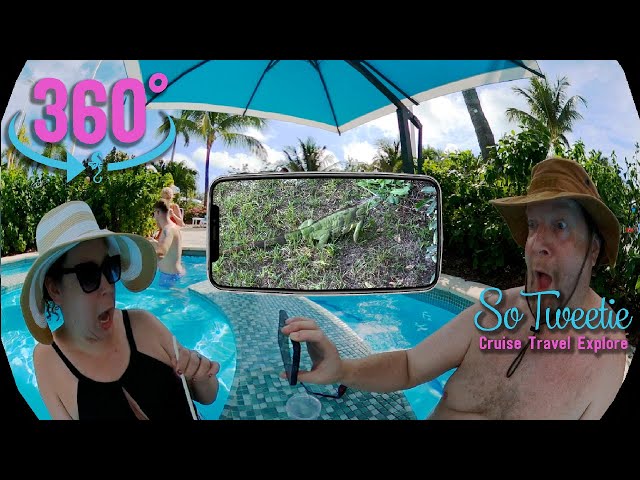 Perfect Day At Coco Cay 360° Video! Royal Caribbean's Private Island, Liberty of the Seas Cruise