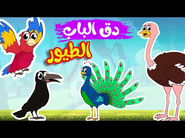 أغنية دق الباب الطيور 1 -  قناة أسرتنا