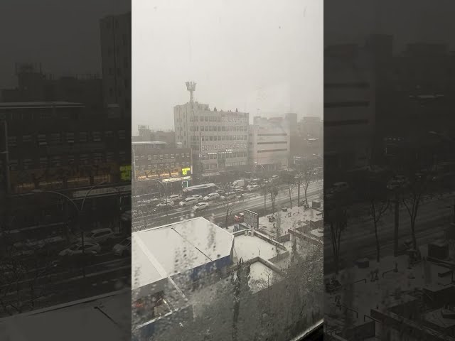 Snowing Seoul Gangnam