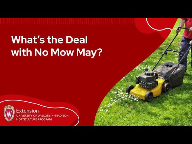 What’s the Deal with No Mow May?