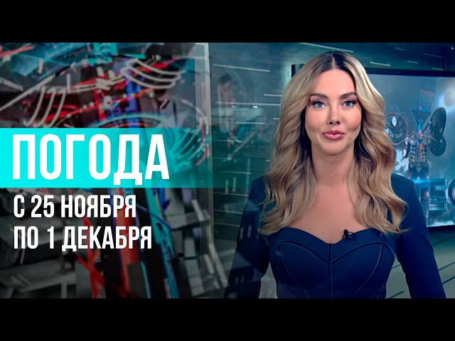 Погода на неделю 25 ноября – 1 декабря 2024. Прогноз погоды. Беларусь | Метеогид