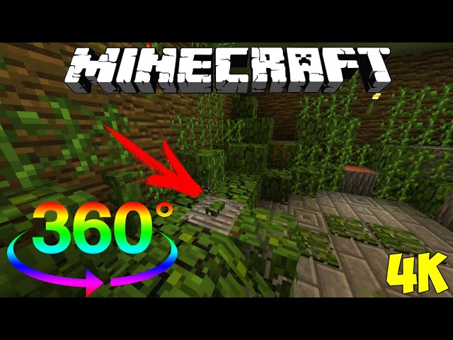 ONLY 1% WILL FIND IN 360° VR THIS CAMOUFLAGED BUTTON IN MINECRAFT VIDEO