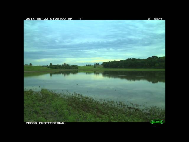 Time Lapse Flood and Drawdown