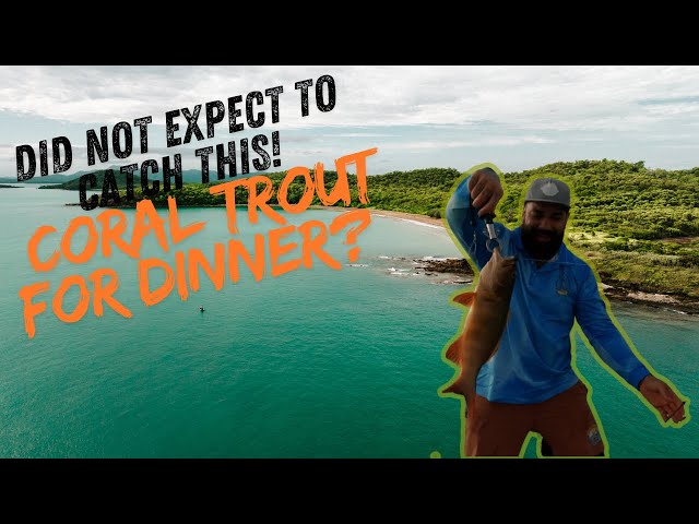 Hooked a Coral Trout in 1 Minute! 🎣 (Fishing Newry Island, QLD