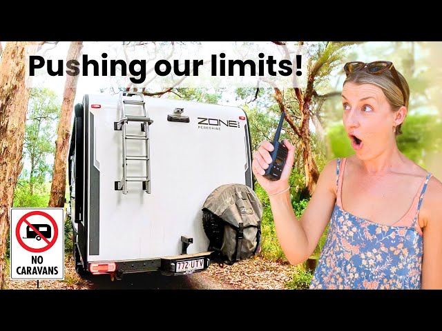 Squeezing our 19ft Zone RV down tight tracks! Camping Narooma & North Head Campground NSW [EP68]