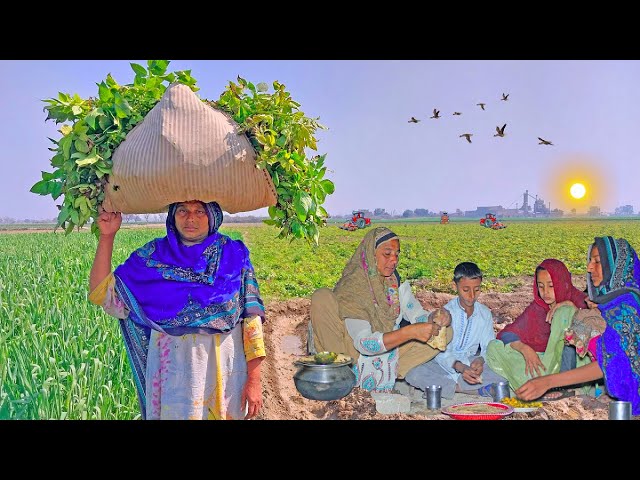 Traditional Village Life | Aloo Palak Or Roti | Punjabi Village Daily Routine | Cooking