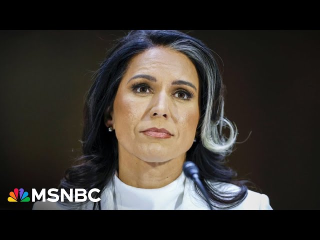 U.S. Intelligence will ‘pay a heavy price’: Fmr. CIA Director on Tulsi Gabbard for DNI