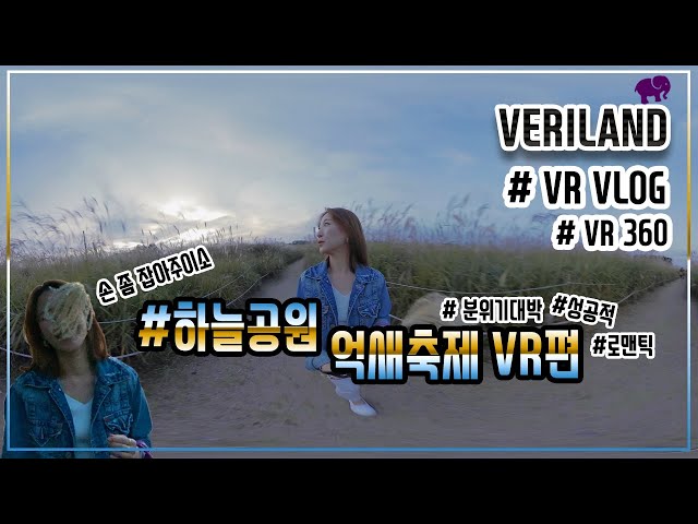 하늘공원 억새축제 VR로 만나요:D[2019/하늘공원/억새축제/VR/vlog/일상브이로그/핑크뮬리/PinkMuhlyGrass/粉色芒草/SeoulFestival/VERILOG]