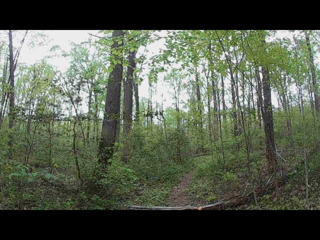 A VR Hike in Stanton Park