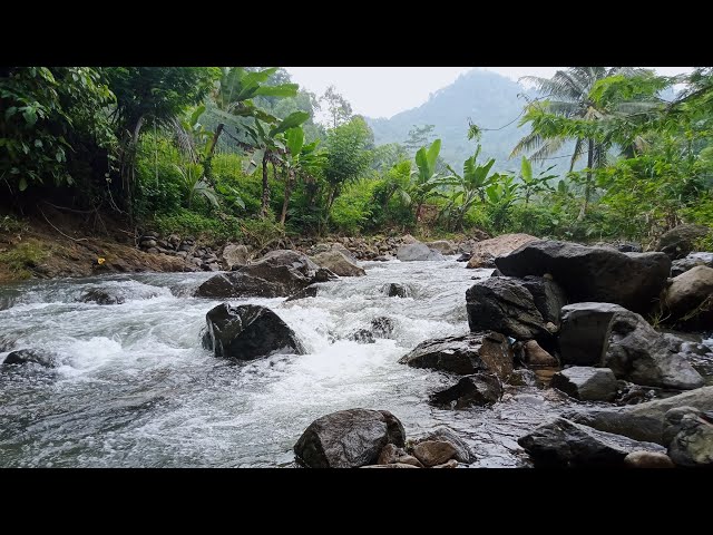 Waterfall Gentle Stream Sound in forest 24/7. Waterfall Sounds, Flowing Water, White Noise for Sleep