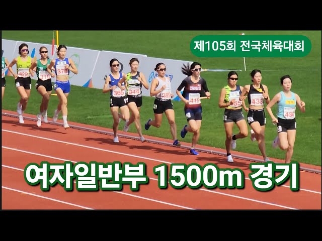 제105회 전국체전 여자일반부 1500m #sports #trackandfield #marathon #달리기 #육상 #마라톤 #중장거리 #러닝 #전국체전 #김유진 #박나연 #신소망