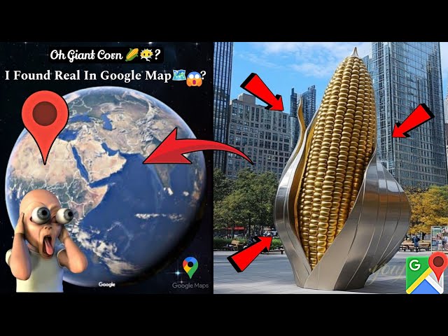 😮🌽I Found A Giant Maize In Google Map🗺️? #trending #viralvideo #map #scary #datadefender4u