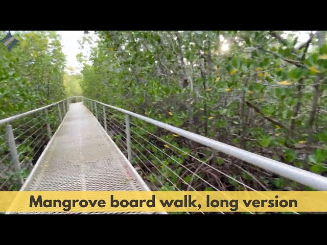 Darwin walking the Mangrove Board Walk at East Point Reserve. Long version.