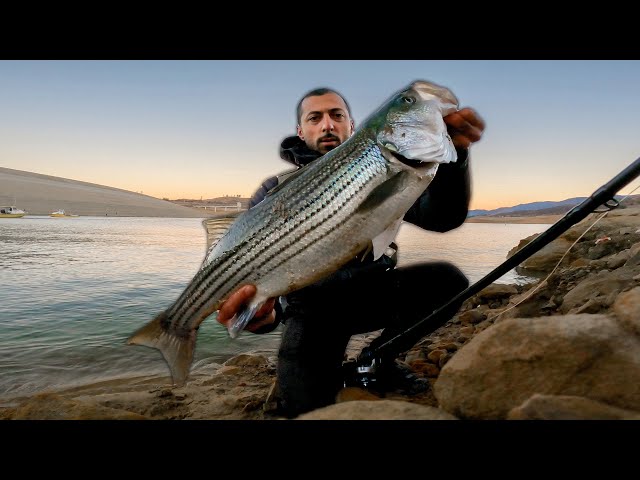 The Most AGGRESSIVE Fish I Ever Caught - Castaic Lake Striper Fishing w/Deps 250