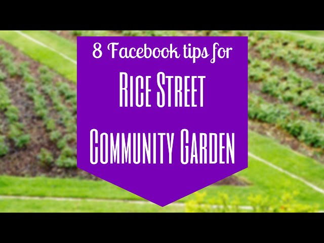 8 FACEBOOK TIPS FOR RICE STREET COMMUNITY GARDEN