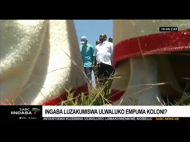 Ingaba luzakumiswa ulwaluko eMpuma Koloni?