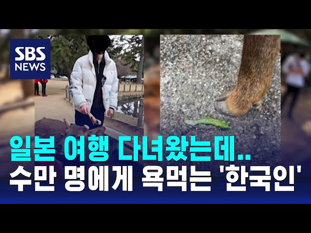 일본 여행 다녀왔는데…수만 명에게 욕먹는 '한국인' / SBS / 오클릭