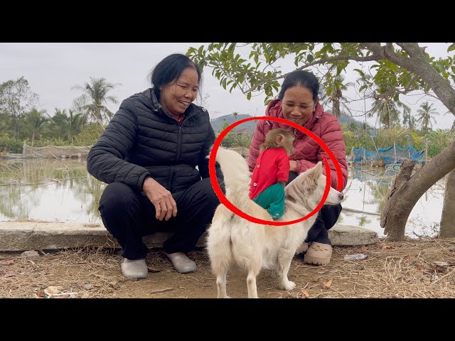 Happy New Year, Grandma's Happy Life with Animal Friends