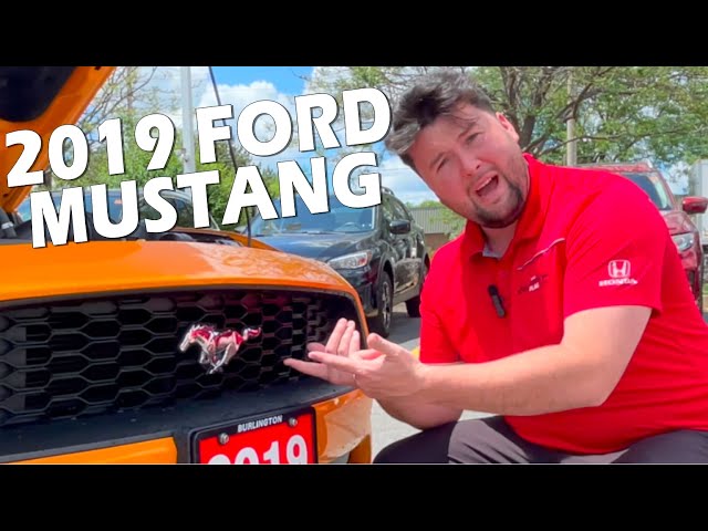 2019 Ford Mustang Fastback EcoBoost - Featured Preowned