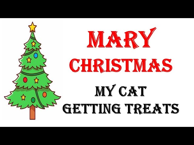 MARY Christmas  !!  #selfcare #selflove #cats #catlover #catlovers  #cattreat #cattreats #catlovers