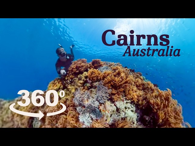 360 Video - A walk around Cairns Australia -  Travel Guide