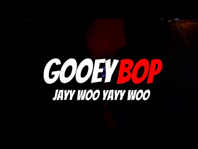 Jayy Woo - Gooey Bop (Ft. Yayy Woo) (visualizer) (Official Lyric Video)