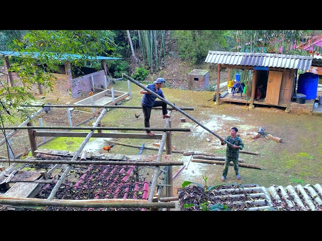 DAU & PHIN join hands to replace the degraded chicken coop roof. Cassava harvest - Forest life