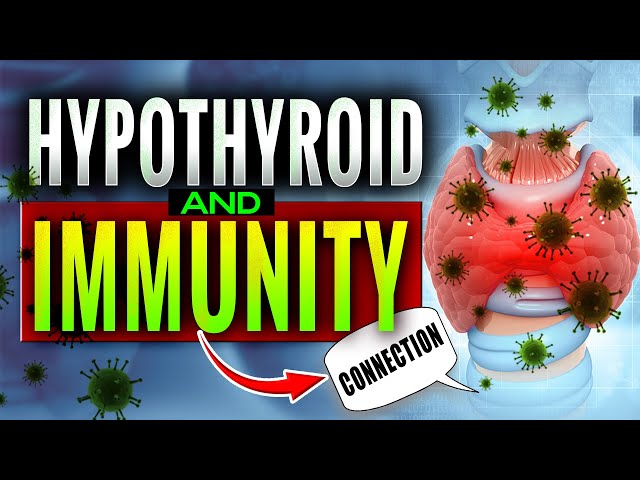 Hashimoto’s Thyroiditis: What Is It And What You Need To Know - Autoimmune Diseases