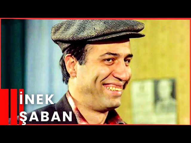 İnek Şaban | Kemal Sunal Komedi Filmi İzle