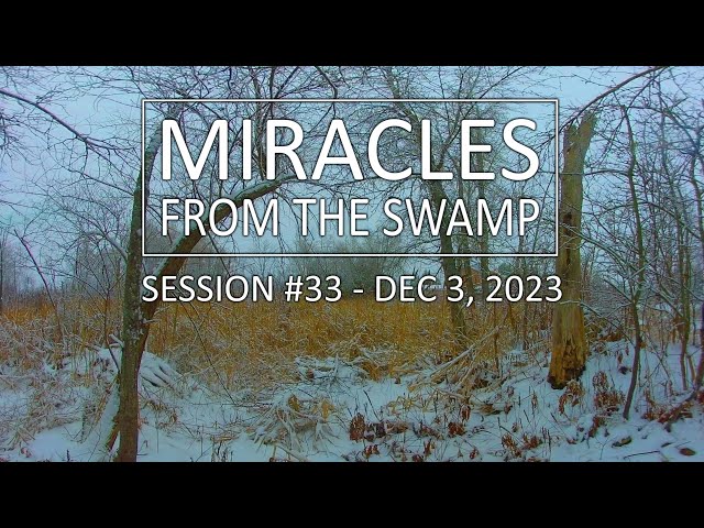 Miracles From The Swamp : Session #33 - December 3, 2023 at 10:35 AM | Virtual Reality / VR180