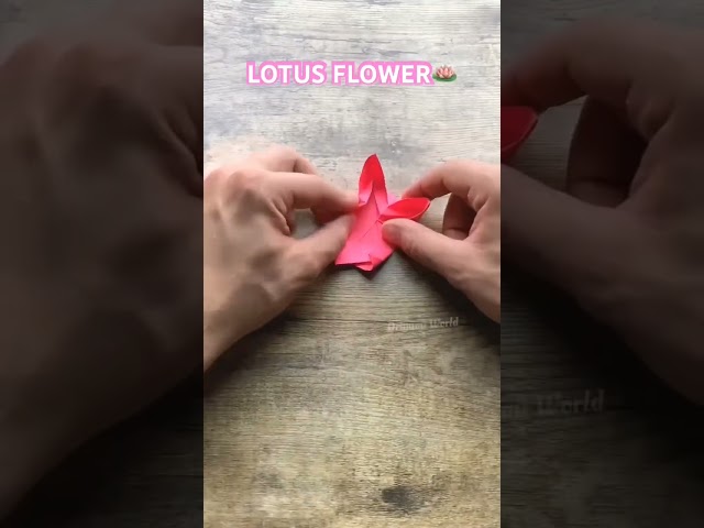 How to make easy paper lotus flower 🌺