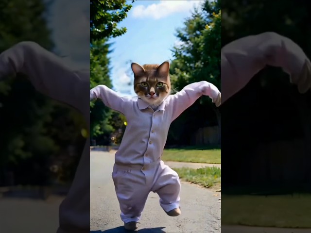 cat funny dance 🤣🤣 #short #cat #funny #trending #ai