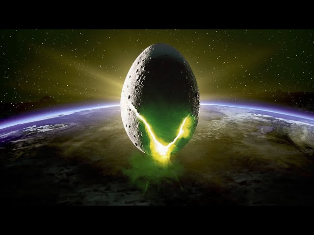 The Giant Egg Controversy - Explained