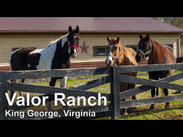 Valor Ranch in King George, VA. 4K60 Drone views.