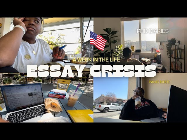 Essay Crisis VLOG🤯 Writing a 20 page literature review in 5 days | The Dark Side of Doing a PhD