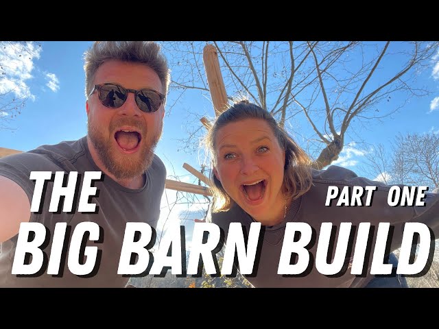 01 - BARN BUILD part 1! On our off grid homestead in Portugal! 🇵🇹