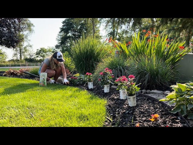 A Visit to Cherry Valley Gardens for Summer Annual Color: Dividing a Hanging Basket for the Garden