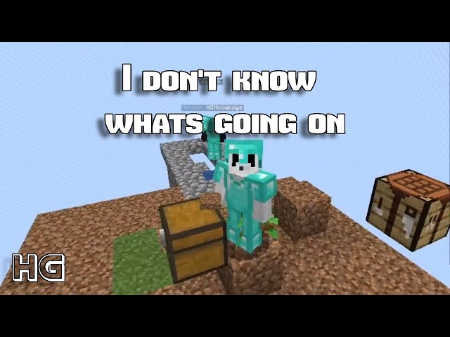 Skyblock but I don't know what's going on