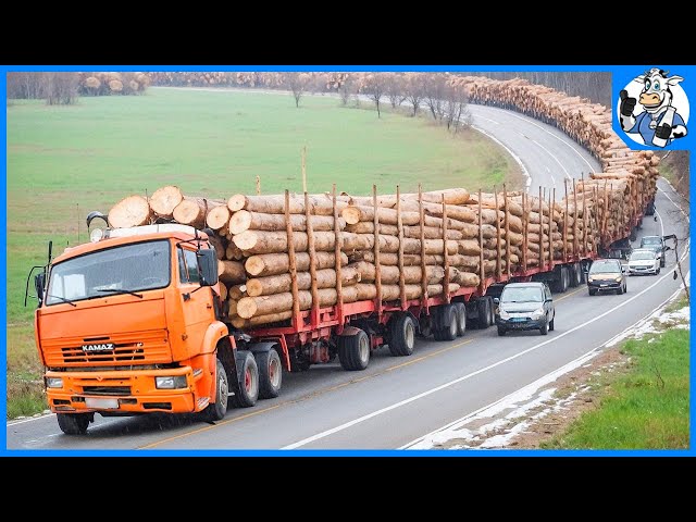 113 Jaw-Dropping Most Dangerous Transport Skills | Timber Transport | Heavy Equipment Fails