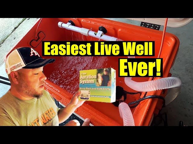 Easiest Live Well Build Ever | How to DIY Build a Live Well for Fish or Bait