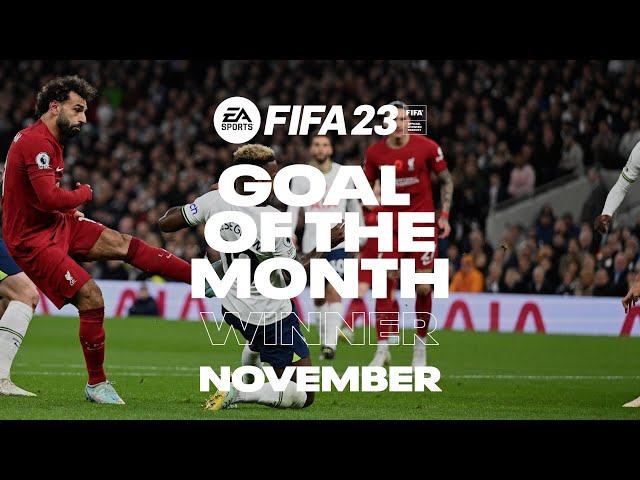 Liverpool FC Goal of the Month result | November