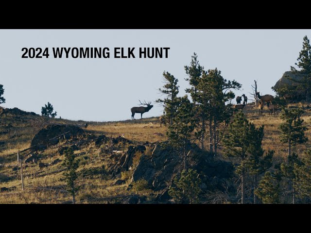 2024 Wyoming Archery Elk Hunt for Big Bulls