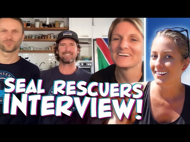 I Interview the Brave Heroes Rescuing Fur Seals in Namibia