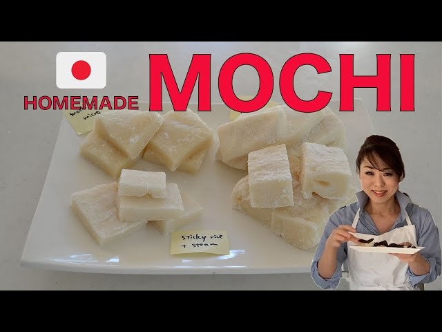 HOMEMADE MOCHI in 4 ways | How to make MOCHI from MOCHI RICE and MOCHIKO (EP258)