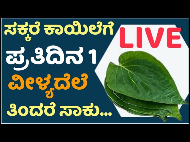 Live -ಮಧುಮೇಹಿಗಳು ನೋಡಲೇಬೇಕಾದ ಮಾಹಿತಿ..! #healilive,#healthtips