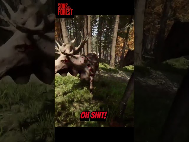 Man Vs Moose | Sons of the Forest