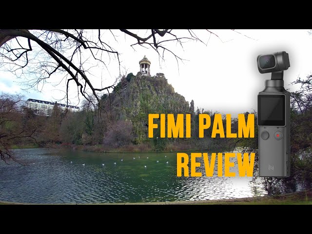 Fimi Palm review