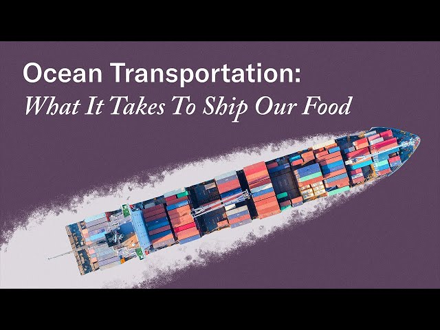 Ocean Transportation: How Container Shipping Works For Food