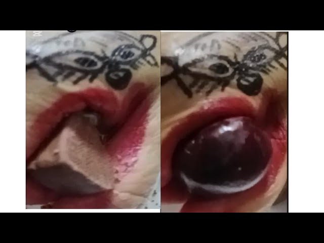 MONSTER CAT EATING SNICKERS CHOCOLATE & CHERRY FRUIT #ART HAND # ASMR # VERY SATISFYING VIDEO