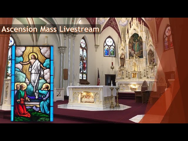 Ascension Mass Livestream - The Ascension of the Lord